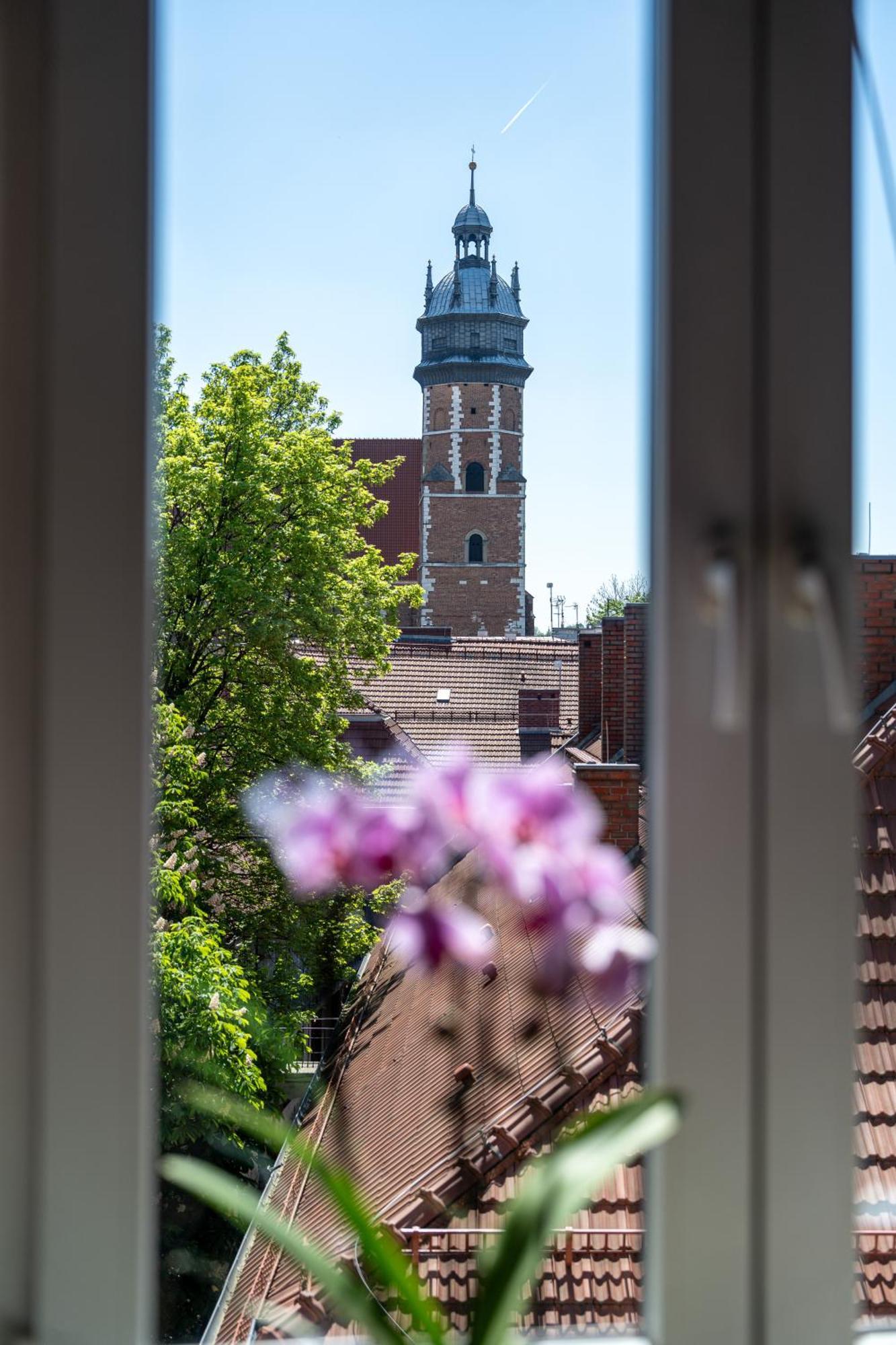 Vista View Appartement