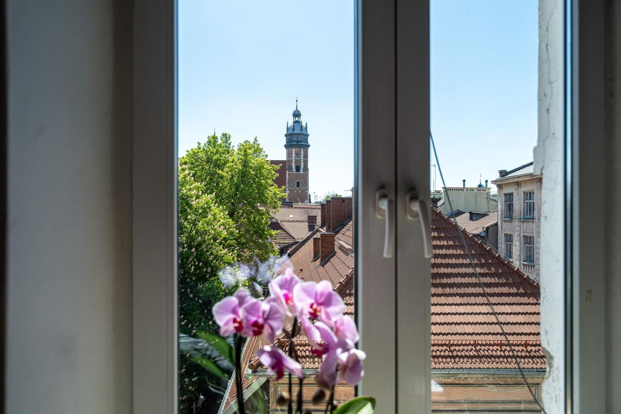 Vista View * Krakau